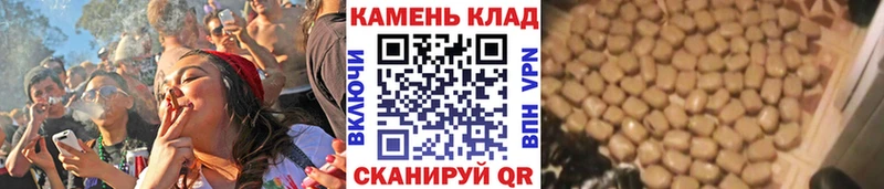 купить   Буинск  ГАШ гашик 