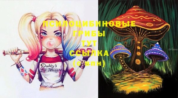 МДПВ Балахна