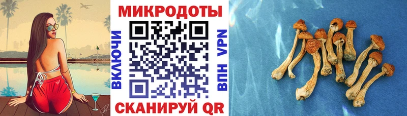 маркетплейс телеграм  Буинск  Псилоцибиновые грибы MAGIC MUSHROOMS 
